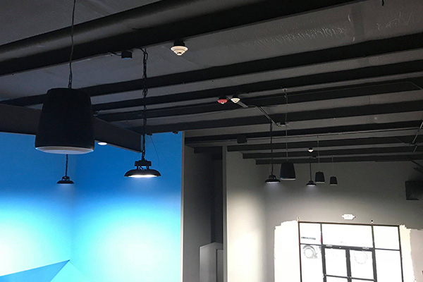 JBL pendant speaker